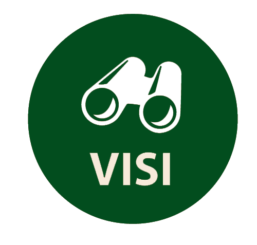 Visi